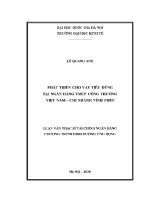 Luận văn thạc sĩ phát triển cho vay tiêu dùng tại ngân hàng tmcp công thương việt na