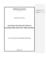 Luận văn thạc sĩ hoạt Động tín dụng xuất khẩu tại chi nhánh ngân hàng phát triển lâm Đồng