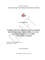 Nghiên Cứu Tác Động Của Quản Trị Rủi Ro Đến Hiệu Quả Hoạt Động Của Các Doanh Nghiệp Vừa Và Nhỏ Vùng Đông Nam Bộ