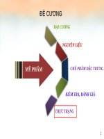 Slide Mỹ Phẩm Chương 5