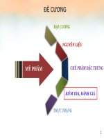 Slide Mỹ Phẩm chương 4