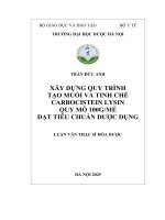 Trần Đức anh xây dựng quy trình tạo muối và tinh chế carbocistein lysin quy mô 100g mẻ Đạt tiêu chuẩn dược dụng