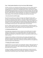 A good essay for student