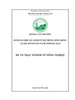 Đánh giá hiệu quả kinh tế hộ trồng dong riềng tại Địa bàn huyện na rì, tỉnh bắc kạn