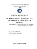Đề tài dự Án sản xuất mi giả, mi nối từ 100% tóc thật của công ty tnhh lông mi giả maimiiotu