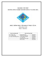 Phúc trình thực tập sinh lý thực vật b