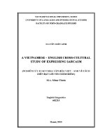 Luận văn a vietnamese english cross cultural study of expressing sarcasm
