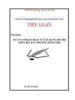 Tiểu luận chuyên viên xử lý vi phạm trật tự xây dựng