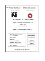 End module assignment module marketing communications in the digital age