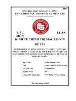 Tiểu luận kinh tế chính trị mác Ảnh hưởng của fdi tại việt nam