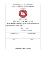 Phân tích các Điều kiện có hiệu lực của hợp Đồng dân sự và cho ví dụ minh họa trong từng nội dung