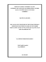 Luận văn the translation strategies of footwear industrial terminology between english and vietnames
