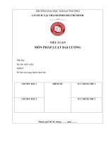 Báo cáo tiểu luận môn pháp luật Đại cương plđc