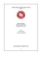 Design thinking mid term assignment academic year 2024 – 2025