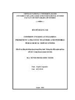 Luận văn common english auxiliaries