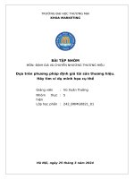 Môn Định giá và chuyển nhương thương hiệu dựa trên phương pháp Định giá tài sản thương hiệu  hãy tìm ví dụ minh họa cụ thể
