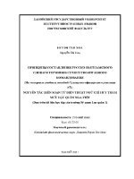 Luận văn Принципы Составления Русско Вьетнамского Словаря Принципы Составления Русско Вьетнамского Словаря Терминов Сухопутно Штабного Командования На Материале Учебных Пособий Сухопутно Офицерского Училища n01