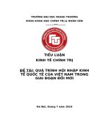 Tiểu luận ktct   quá trình hội nhập kinh tế quốc tế của việt nam trong giai Đoạn Đổi mới