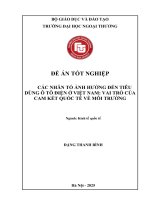 Các nhân tố Ảnh hưởng Đến tiêu dùng Ô tô Điện Ở việt nam vai trò của cam kết quốc tế về môi trường