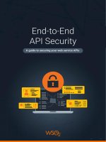 End To End Api Security.pdf