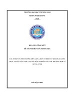 Các nhân tố Ảnh hưởng Đến lựa chọn ví Điện tử khi mua hàng trực tuyến của gen z tại hà nội, nghiên cứu với trường hợp ví spaylater
