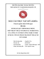 Đánh giá quy trình hoạt Động tiếp thị kỹ thuật số (digital marketing) của công ty cổ phần công nghệ yunero Áp dụng với sản phẩm tranh kỹ thuật số nft suishi