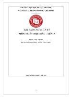 Tiểu luận phân tích vụ bê bối scb