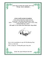 Sáng kiến kinh nghiệm Ứng dụng phương pháp steam giáo dục văn hóa Địa phương cho trẻ 3 – 4 tuổi tại trường mẫu giáo vàng anh, thành phố bạc liêu