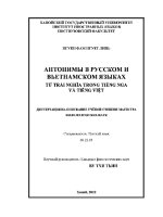 Luận văn từ trái nghĩa trong tiếng nga và tiếng việt Диссертация