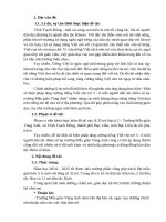 Sáng kiến kinh nghiệm một số biện pháp tăng cường tiếng việt cho trẻ 5   6 tuổi tại trường mẫu giáo vàng anh, thành phố bạc liêu