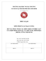 Tiểu luận phân tích Điều kiện hợp Đồng dân sự