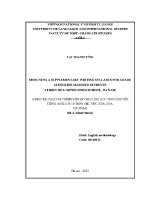 Luận văn thiết kế chương trình dạy viết bổ trợ cho học sinh chuyên tiếng anh trường thpt chuyên biên hòa
