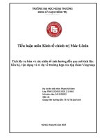 Tiểu luận kinh tế chính trị tích lũy tư bản & vingroup