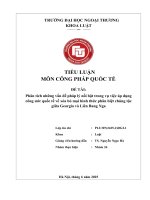 Tiểu luận công pháp quốc tế phân tích vụ kiện georgia   nga theo cerd
