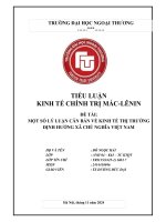Tiểu luận một số lý luận căn bản về kinh tế thị trường Định hướng xã hội chủ nghĩa việt nam