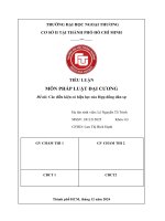 Tiểu luận pháp luật Đại cương Điều kiện hiệu lực hợp Đồng dân sự 2411215025