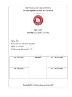 Tiểu luận pháp luật Đại cương Điều kiện giao dịch dân sự 2015