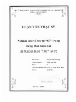 Luận văn 现代汉语助词 所 研究