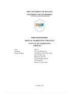 Midterm report digital marketing strategy faculty of marketing