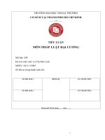 Tiểu luận cuối kì môn pháp luật Đại cương