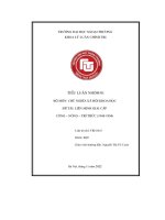 Tiểu luận nhóm 01 bộ môn chủ nghĩa xã hội khoa học Đề tài liên minh giai cấp công – nông – trí thức (1945 1954)