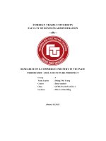 Research on e commerce industry in vietnam period 2020 – 2024 and future prospect