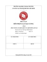 Tiểu luận phân tích Điều kiện hợp Đồng dân sự d
