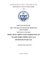Phân tích chiến lược marketing 4p về khí thiên nhiên nén của petrovietnam gas