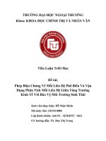 Tiểu luận phép biện chứng về mối liên hệ phổ biến và vận dụng phân tích mối liên hệ giữa tăng trưởng kinh tế với bảo vệ môi trường