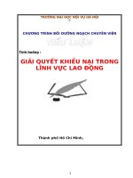 Tiểu luận chuyên viên giải quyết khiếu nại lao Động