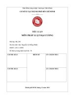 Tiểu Luận Ml Về Điều Kiện Có Hiệu Lực Của Giao Dịch Dân Sự Tại Vn.pdf