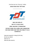 Chủ Đề phân tích chiến lược marketing cho sản phẩm son thỏi của công ty m o i cosmetics