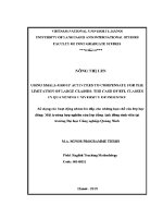 Luận văn using small group activities to compensate for the limitation of large classes
