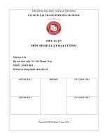 Tiểu luận pháp luật Đại cương
